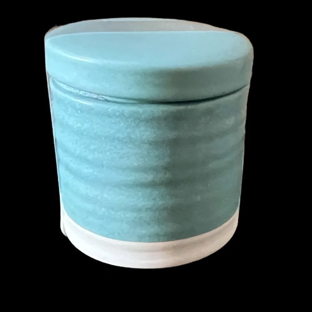 NWT threshold bath rug & matching canister